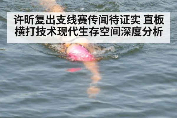 许昕复出支线赛传闻待证实 直板横打技术现代生存空间深度分析