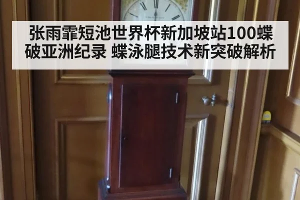 张雨霏短池世界杯新加坡站100蝶破亚洲纪录 蝶泳腿技术新突破解析
